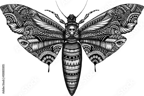monochrome deadhead butterfly