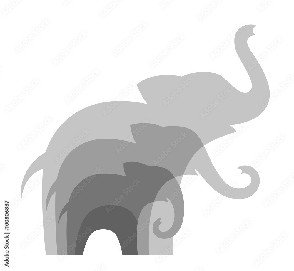 Obraz premium Elephants family