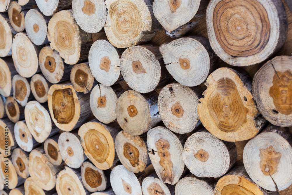 small piece of wood logs used for design decorated interior small piece of wood logs used for design decorated interior