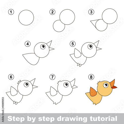 Drawing tutorial. How to draw a Bird