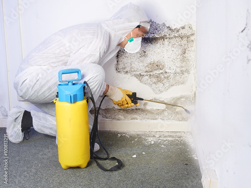 Photography Pest controler eliminiates a mold infestation