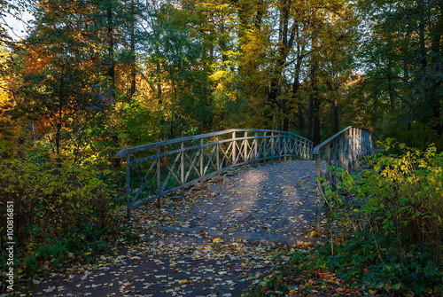 Wooden bridge in the autumn park 
