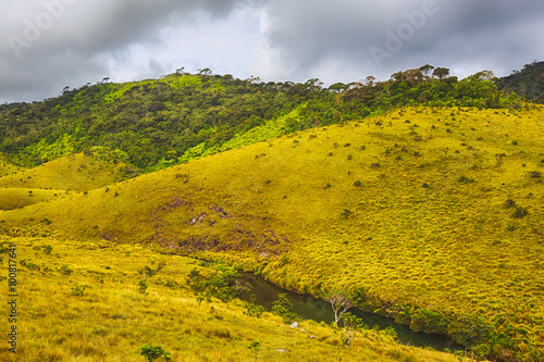 The Horton Plains