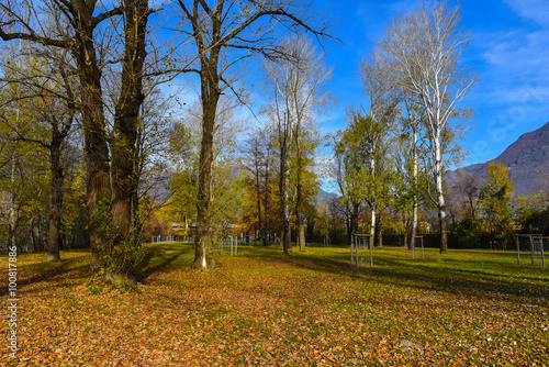 Alberi nel parco in autunno © fotonaturali