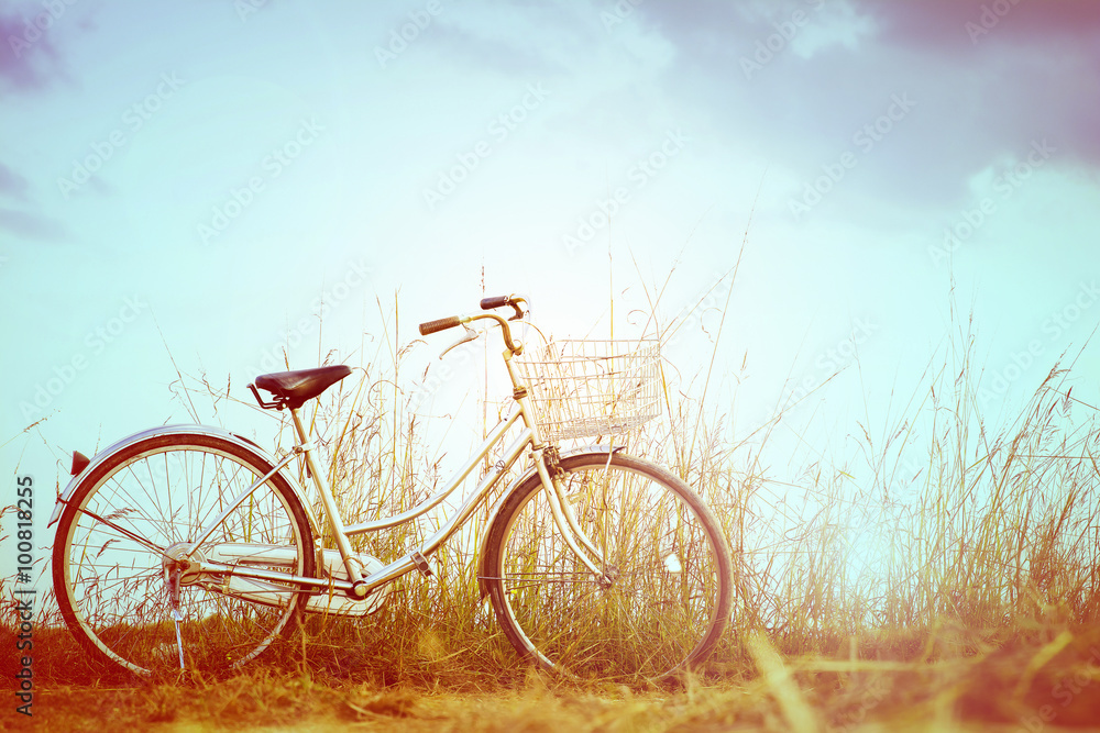 Fototapeta premium Retro bicycle in glass field, vintage tone
