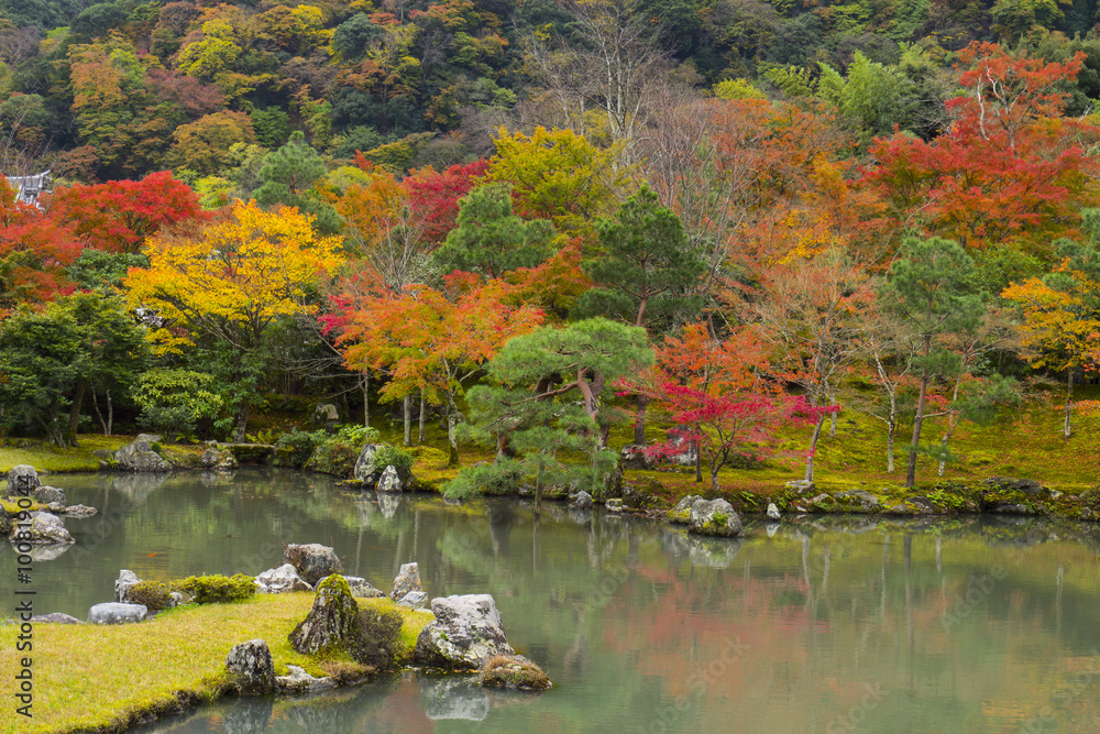 紅葉曹源池庭園天龍寺stock Photo Adobe Stock