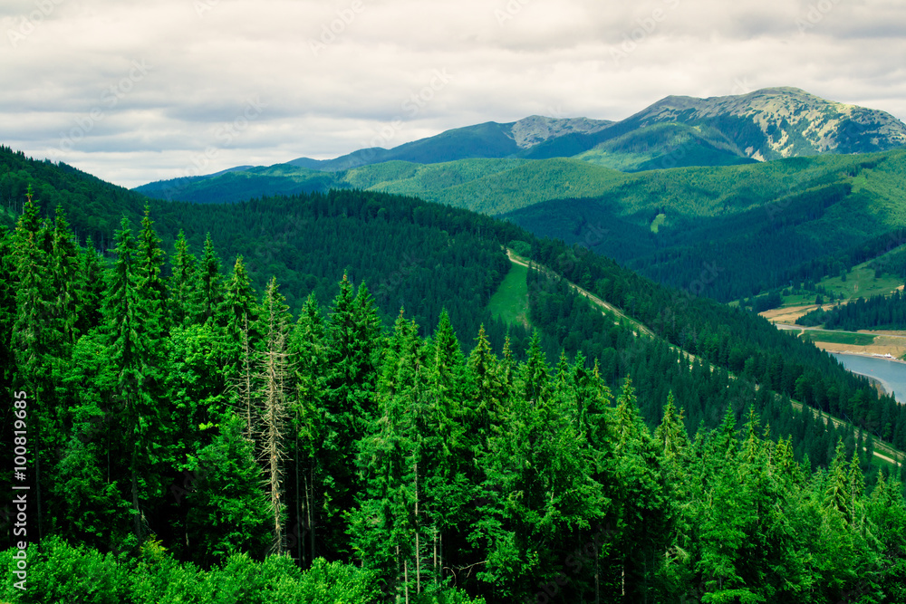 Fototapeta premium Mountains in the Carpathians.