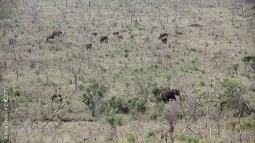 Hluhluwe imfolozi park landscape with a herd of elephants in South Africa