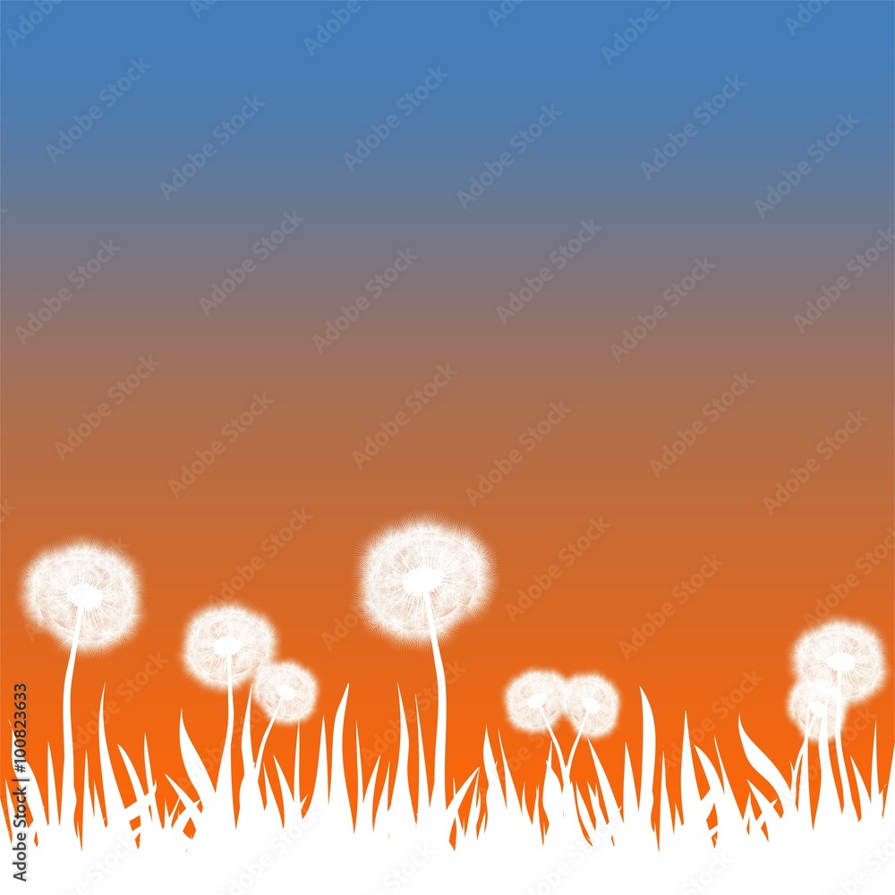 Spring landscape with pale grass and white dandelions with orange and blue sky