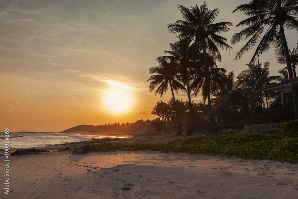 Beautiful sunset tropical beach with palm trees