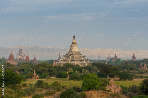 The plain of Bagan Pagan   Mandalay  Myanmar