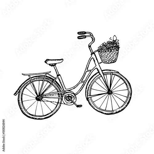 Old bicycle vintage illustration