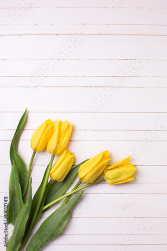 Fototapeta Naklejka Na Ścianę i Meble -  Spring  bright  yellow tulips flowers  on white painted wooden b