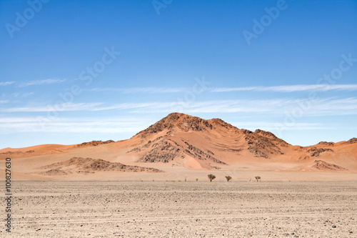 Red dune in Sossusvlei left the road, Namibia © lesniewski
