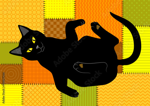 Black cat lying on patchwork background