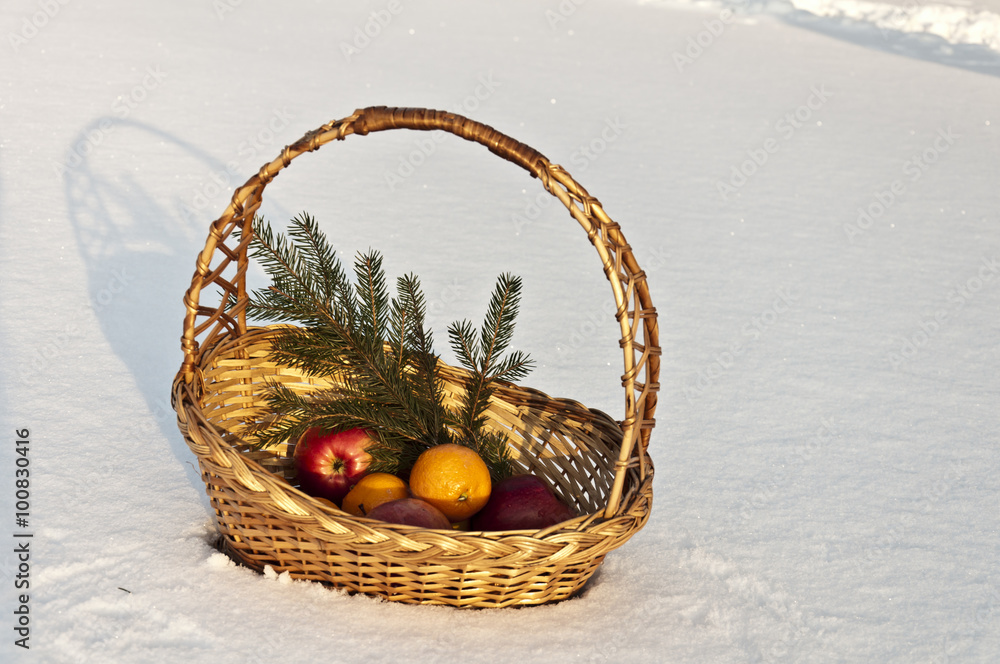 still life of apples and oranges on a lake in the winter still life of apples and oranges on a lake in the winter