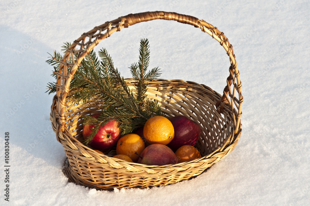 still life of apples and oranges on a lake in the winter still life of apples and oranges on a lake in the winter