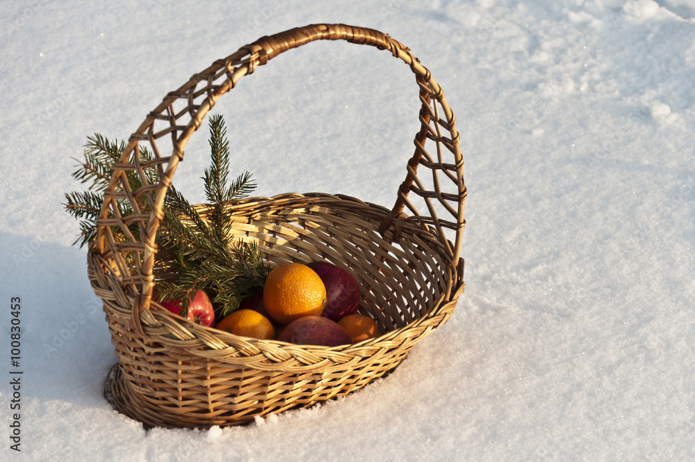 still life of apples and oranges on a lake in the winter still life of apples and oranges on a lake in the winter