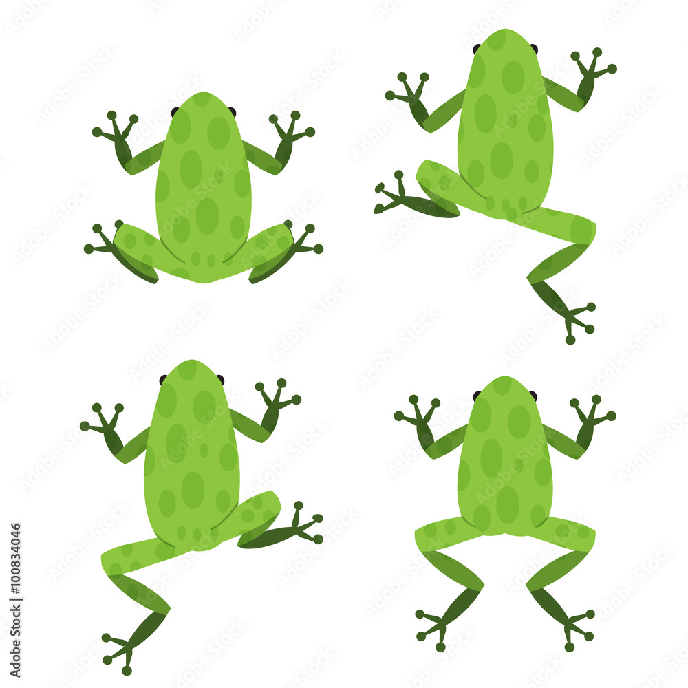 Fototapeta premium Zestaw zielonej żaby w stylu płaski z wzorem