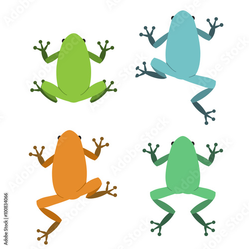 Set of frog in flat style, vector