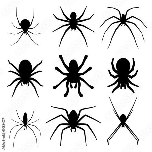 Set of spider silhouette vector icon. Top view