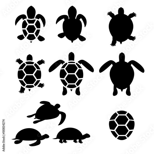 Set of turtle and tortoise silhouette