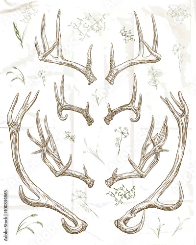 Print op canvas Hand drawing deer horns
