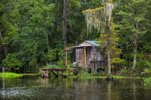 Tela Old house in a swamp in New Orleans