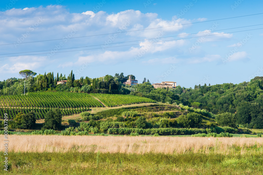 Paesaggio di campagna Toscana, colline coltivazioni, agricoltura