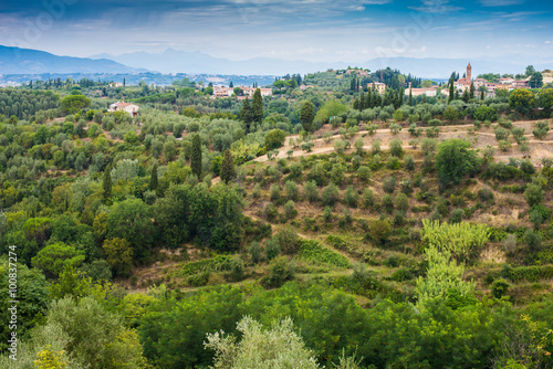 Paesaggio di campagna Toscana  colline coltivazioni  agricoltura