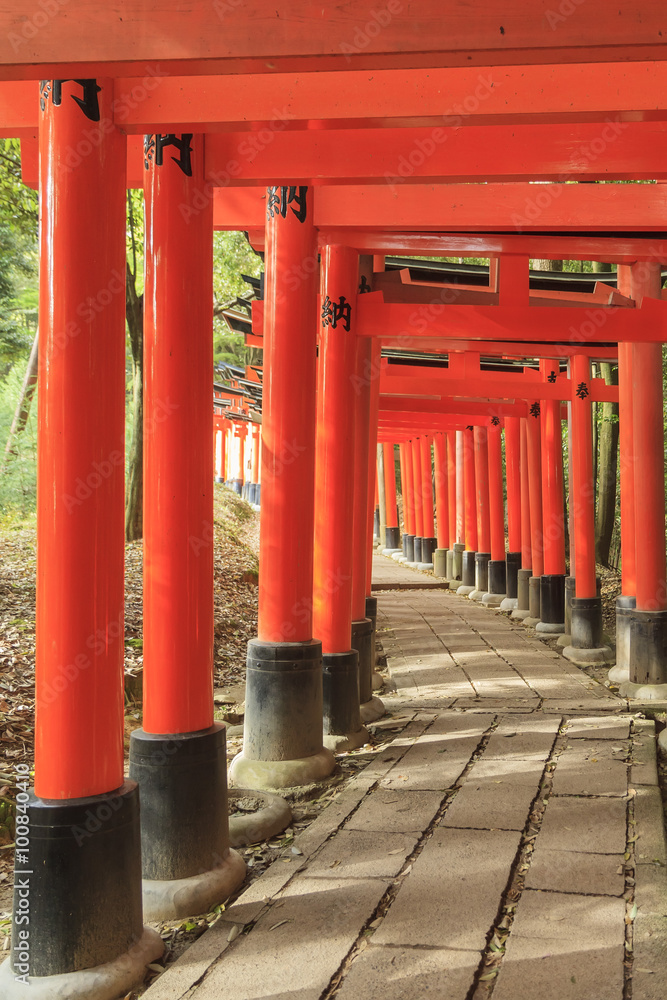 The famous Fushimi Inari-taisha in Kyoto The famous Fushimi Inari-taisha in Kyoto