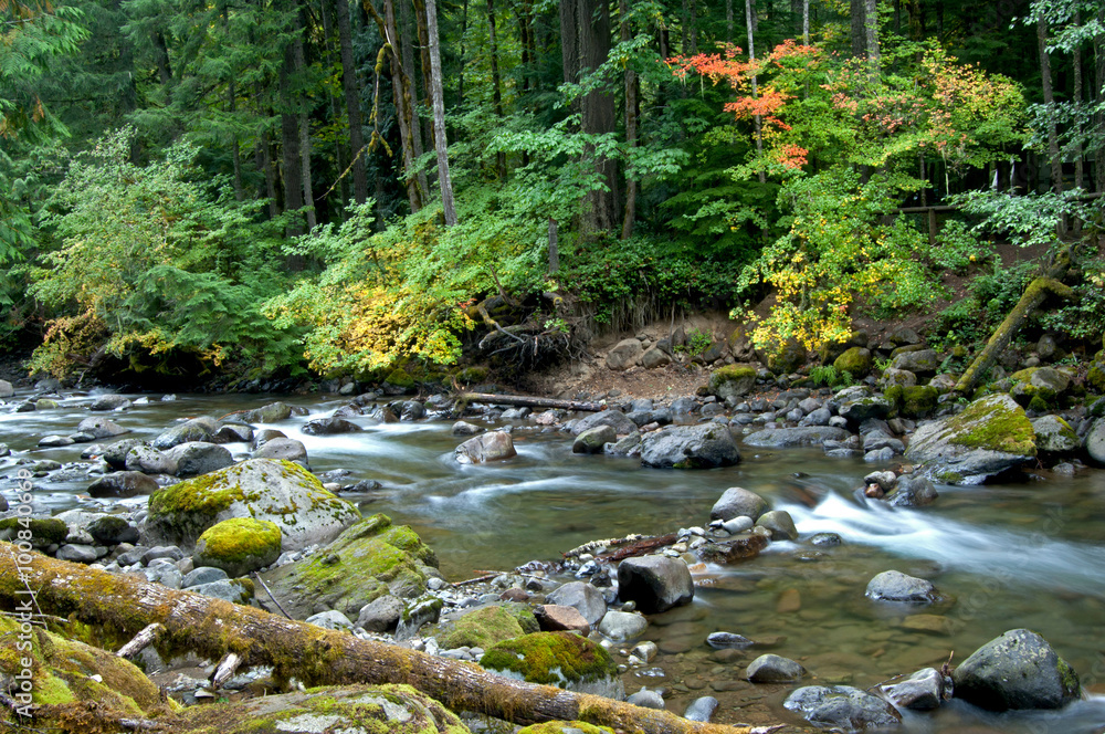 Early Fall Colors on Wilderness Creek. Early Fall Colors on Wilderness Creek.
