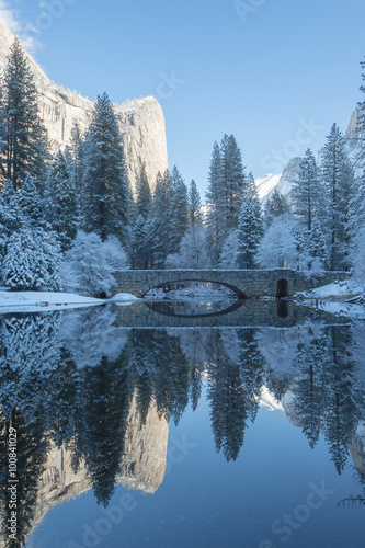 winter reflection of the trees in yosemite national park