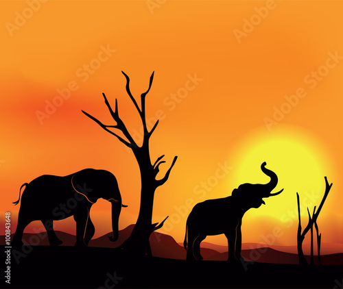 African landscape sunset with elephants