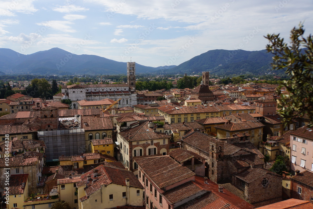 Blick vom Torre Guinigi über Lucca
