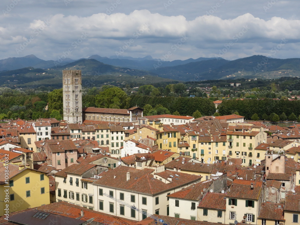 Blick vom Torre Guinigi über Lucca