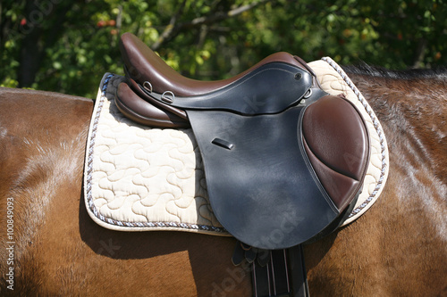 Black and brown leather saddle on back of a horse