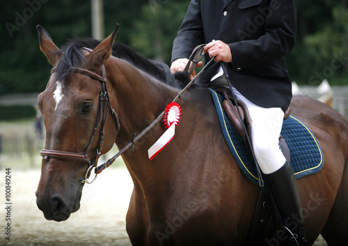 Dressage horse galloping with her proud rider