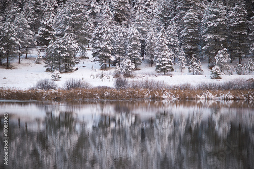 winter reflection