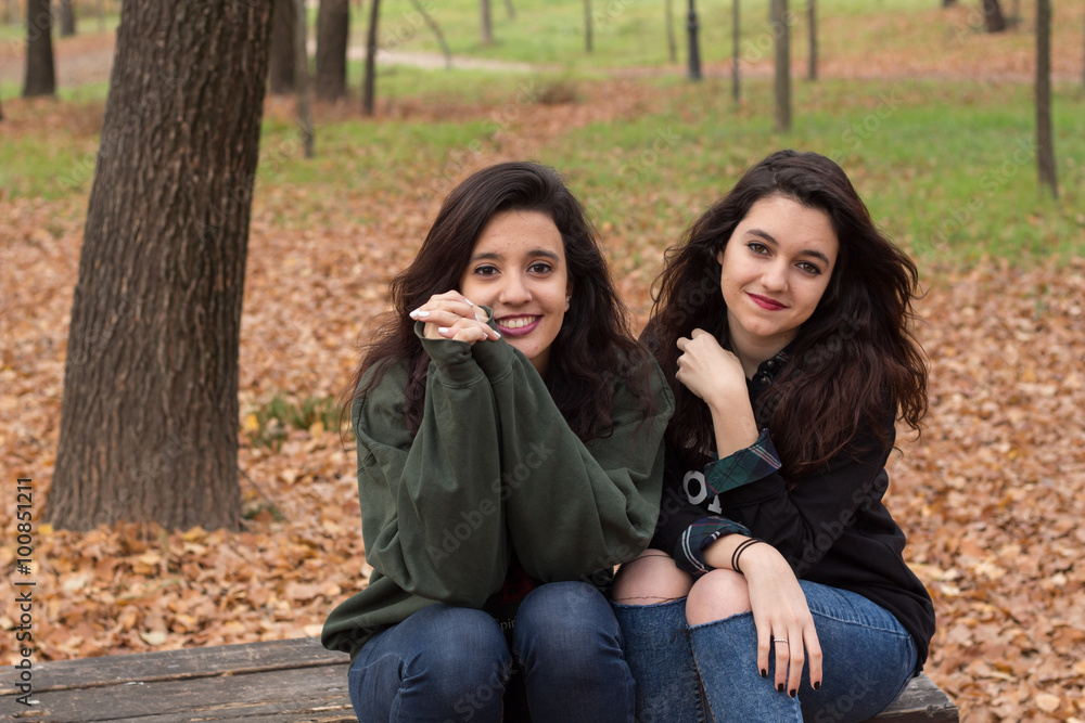 Two girls enjoying in the countryside in autumn. Two girls enjoying in the countryside in autumn.