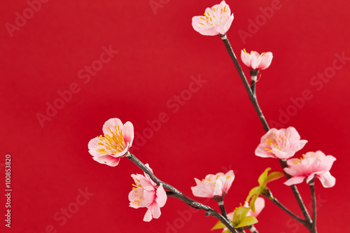 Chinese new year s decoration for Spring festival