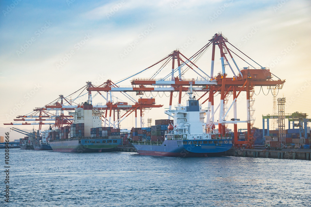 Industrial Container Cargo freight ship with working crane bridg Industrial Container Cargo freight ship with working crane bridg