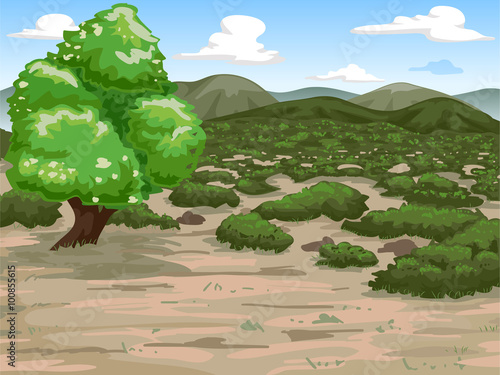 Mediterrenean Shrub Land