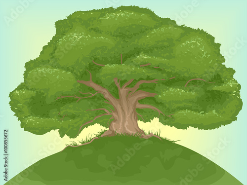 Giant Tree