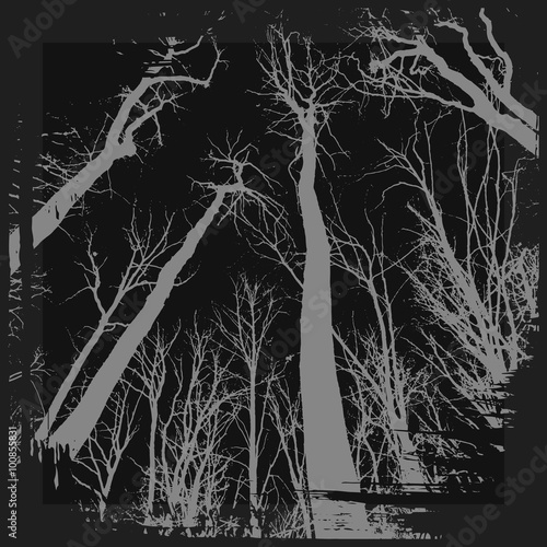 Spooky grunge forest illustration for halloween