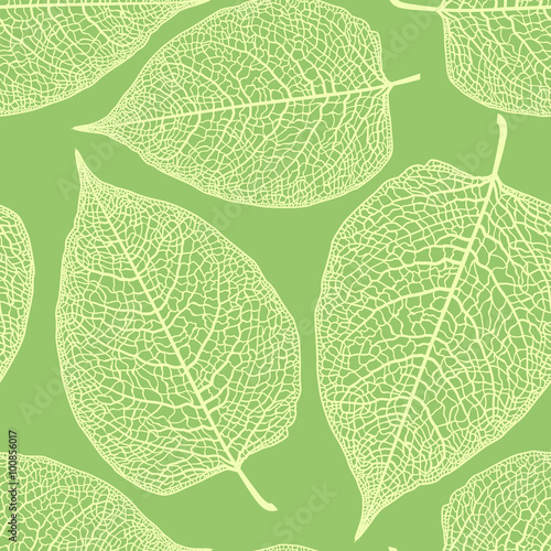 leaf skeleton pattern
