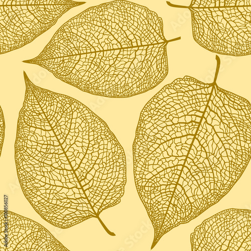 leaf skeleton pattern