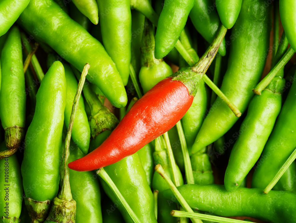 Top view of one red chili pepper among a lot of green