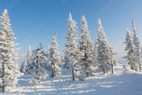 Beautiful winter landscape. © Smile