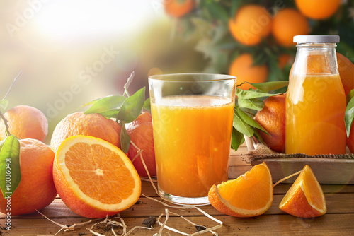 Fototapeta Glass of orange juice on a wooden in field